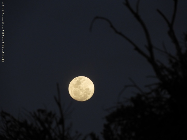 lovewillbringustogether - waning gibbous moon2